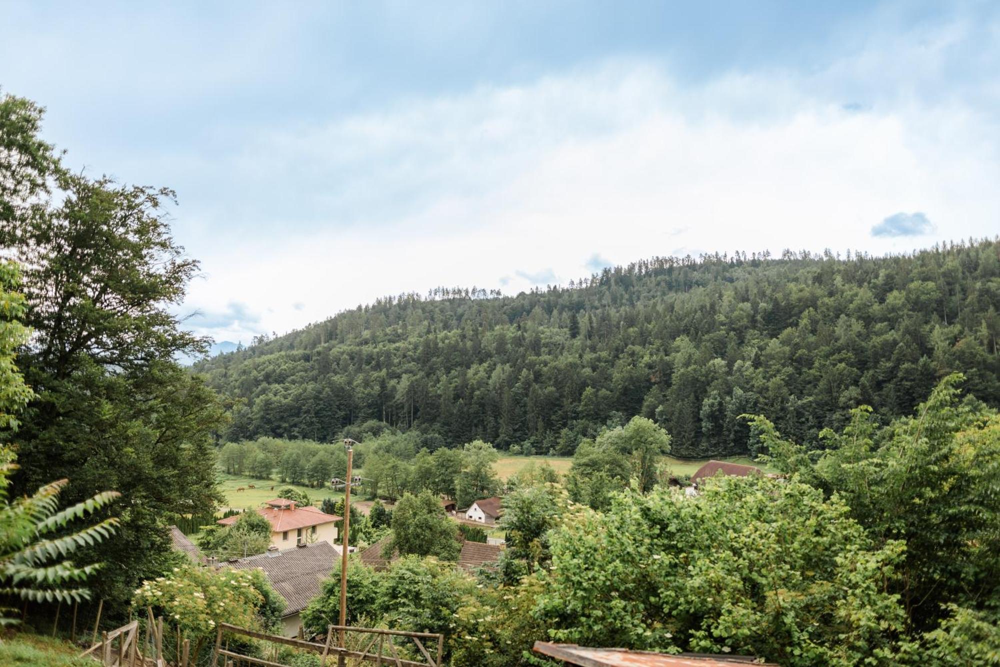 Fernblick