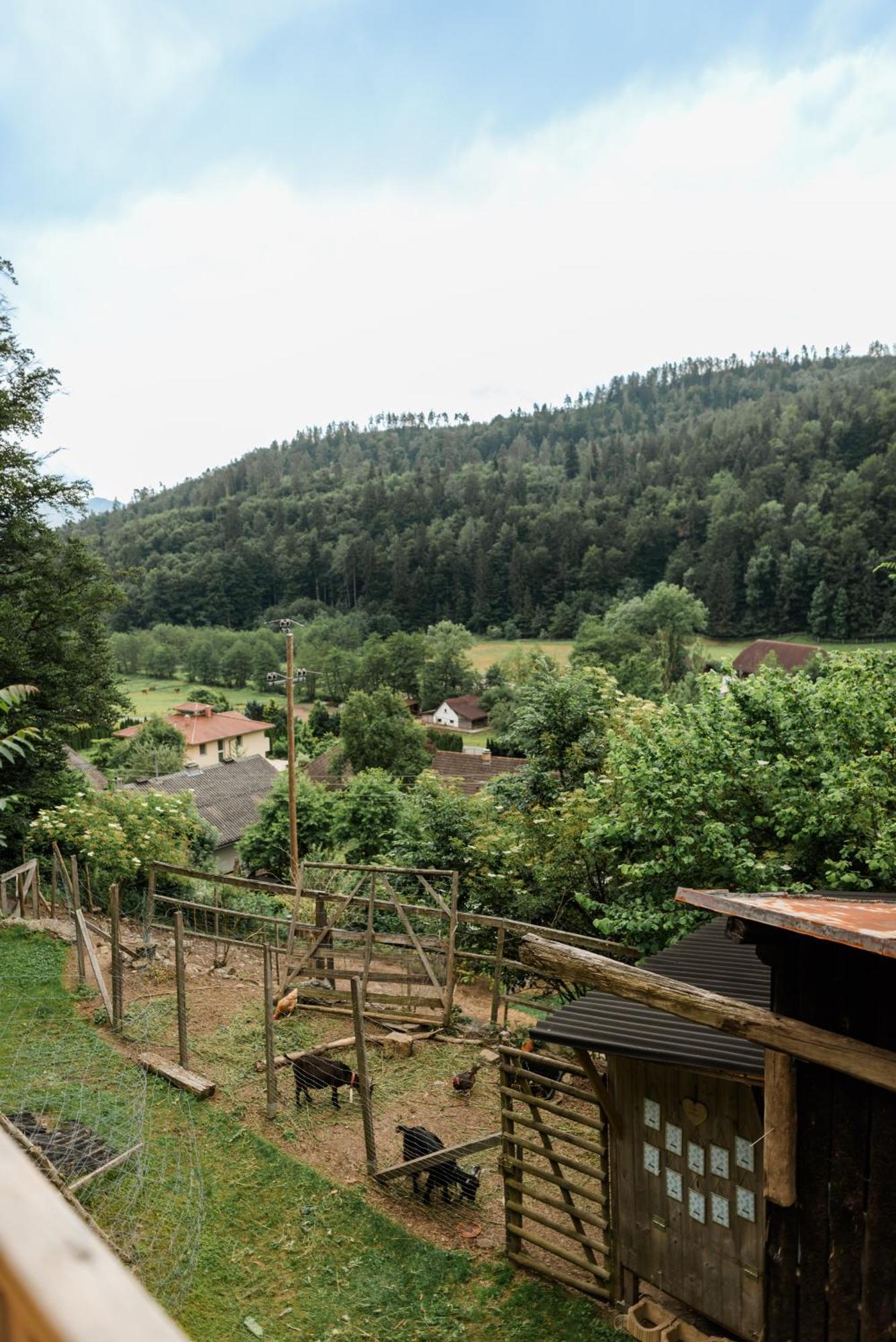 Fernblick Holiday home *